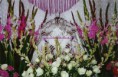 /album/fotogaleria-fotogaleria/a0051-trono-de-obbatala-24-septiembre-1999-jpg/